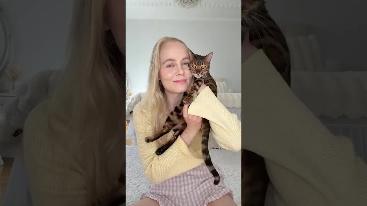 Maikki kissa herää päiväunilta