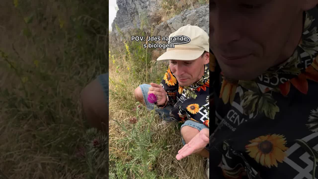 Příroda: Zvonek, Pcháč a Slunečnice
