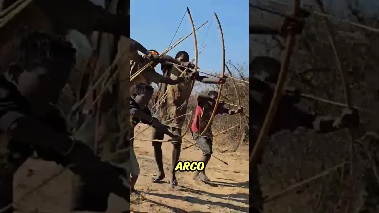 Tribales enfrentan serpiente venenosa con flechas