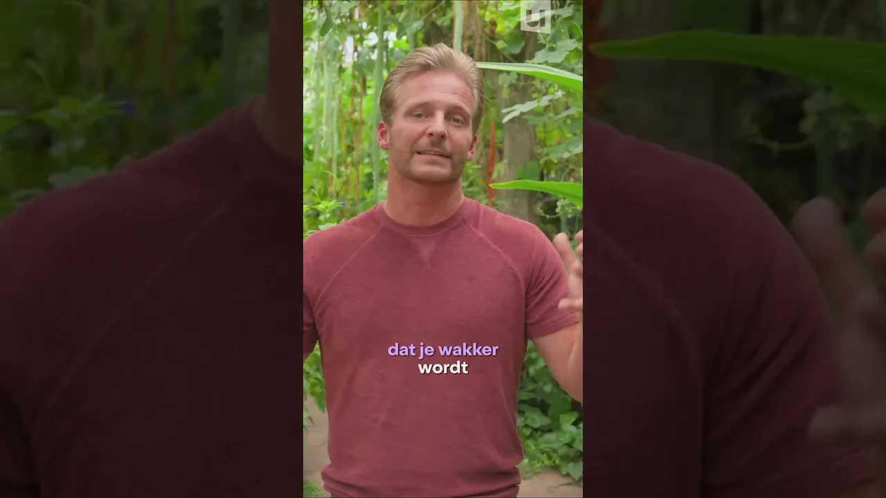 Hoe slaap-hallucinaties werken
