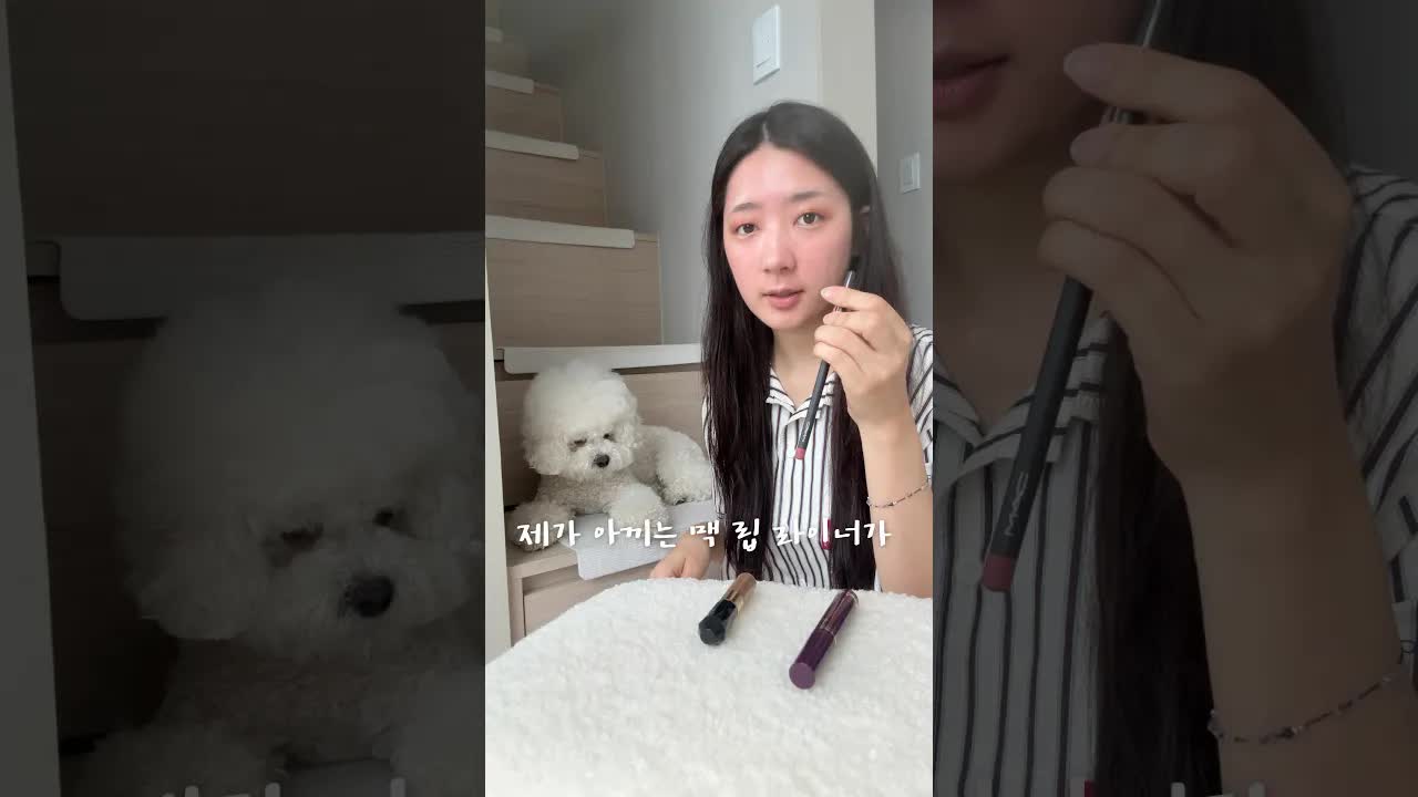 강아지가 고르는 랜덤 메이크업