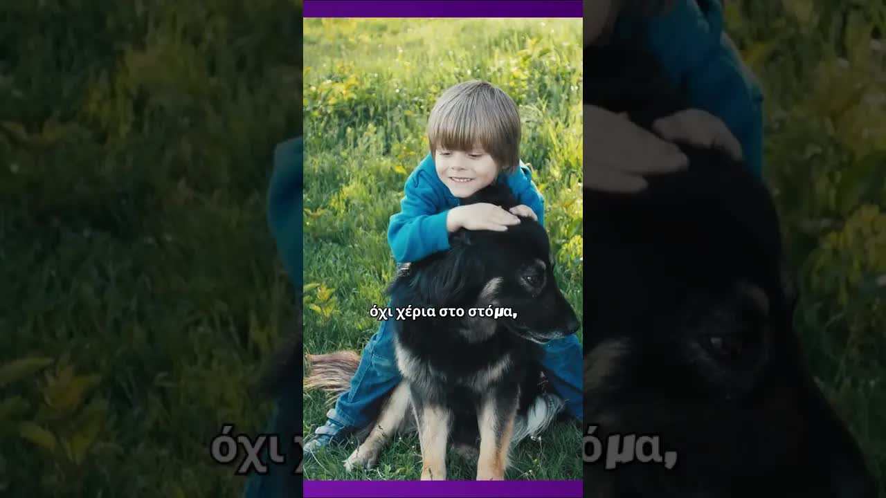 Ασφάλεια Σκύλου και Παιδιού: Συμβουλές