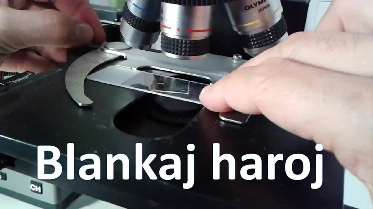 Haroj sub la mikroskopo: Mia sekreta frizado