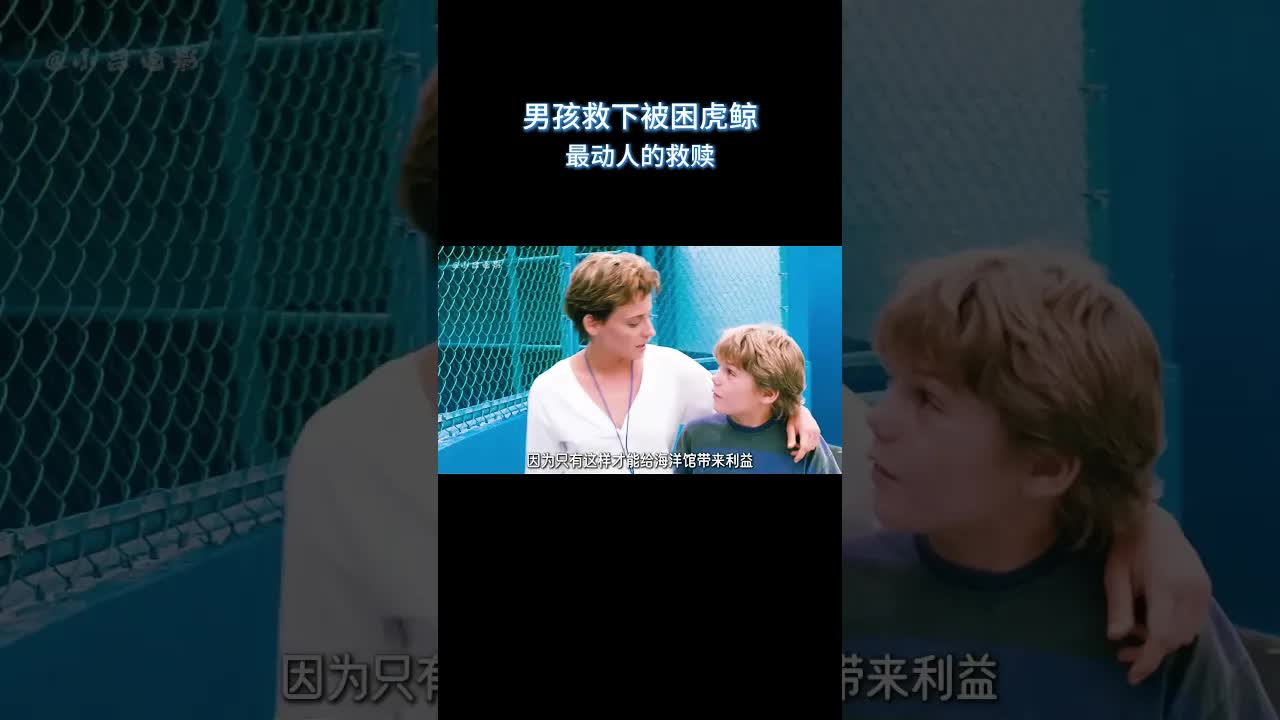 男孩与暴躁虎鲸的奇幻友谊