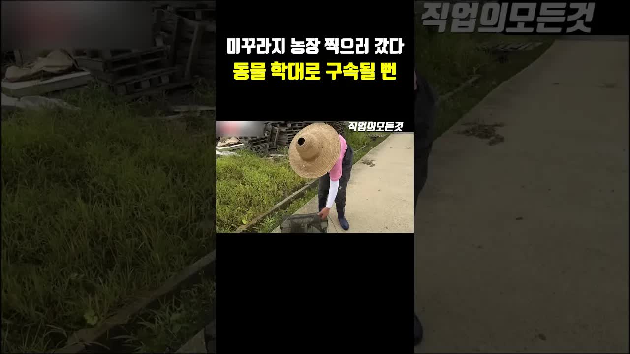 미꾸라지 잡는 과정과 뱀 발견