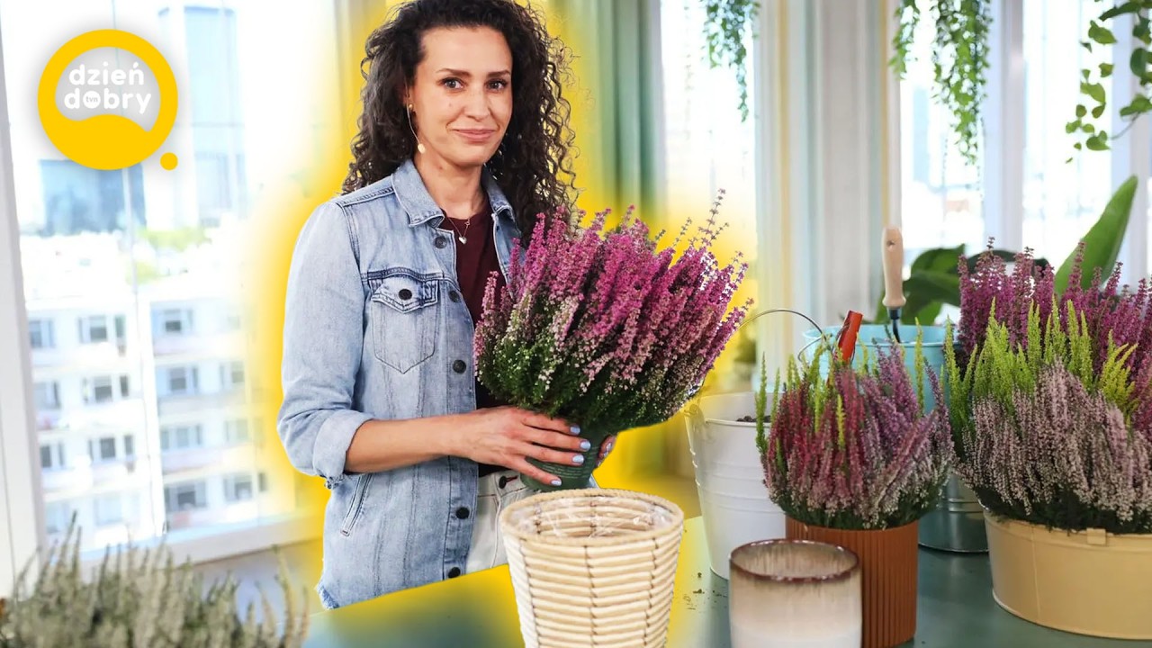 Jak pielęgnować wrzosy i tworzyć z nich dekoracje