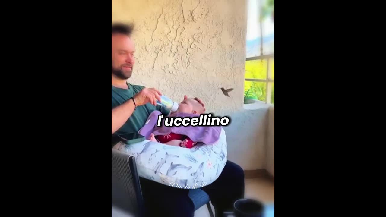 Il colibrì che portò l'amore della madre