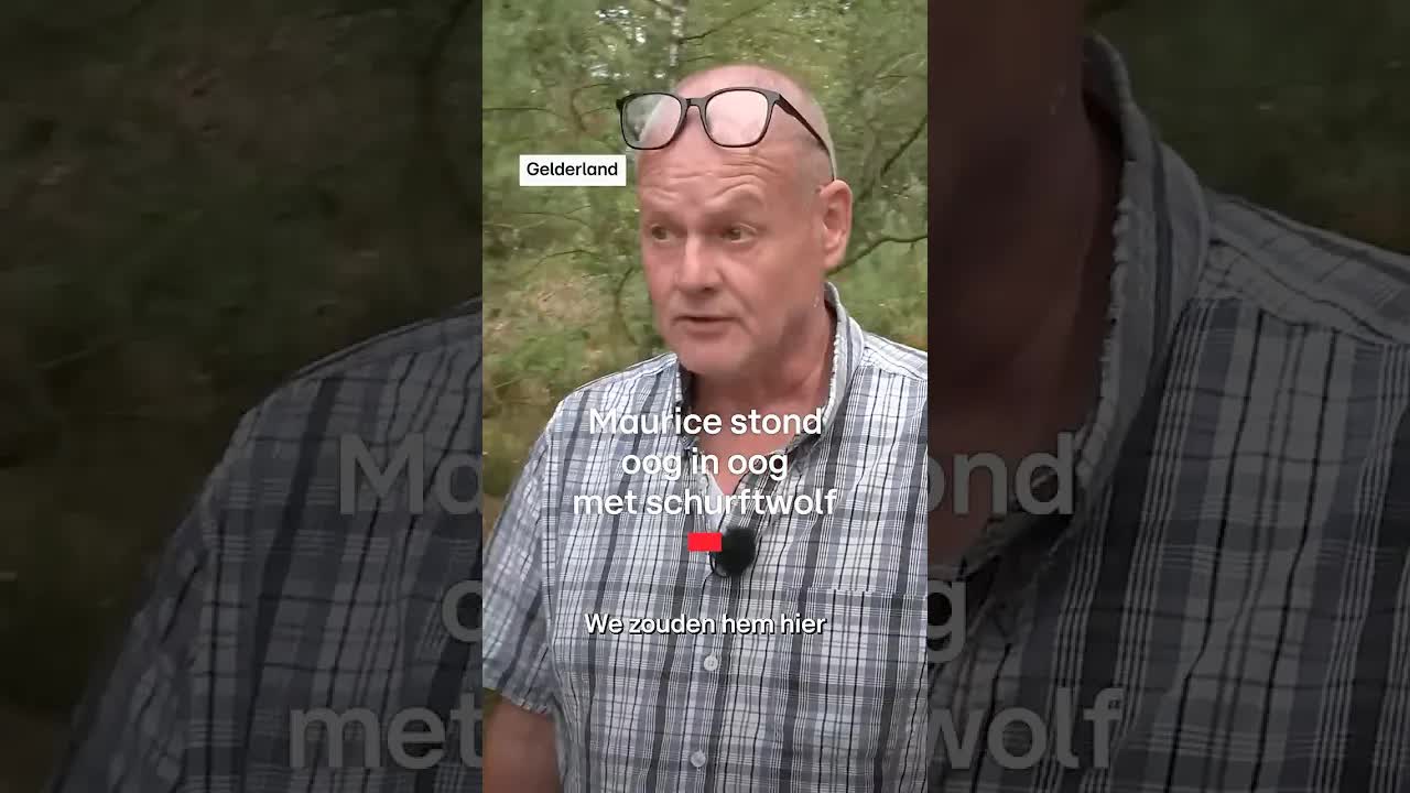 Schurftwolven komen dichterbij mensen