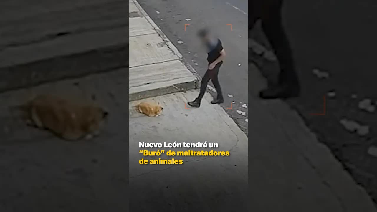 Propuesta de Buró de Maltratadores en Nuevo León