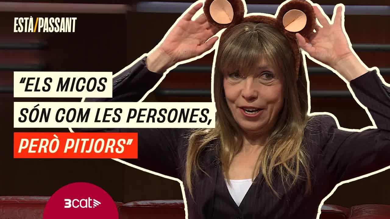 Ramona Bonobo mediatza en una guerra civil de ximpansés