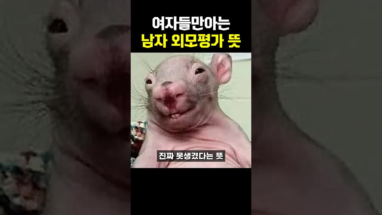 여자들이 말하는 남자 외모 평가의 진짜 뜻