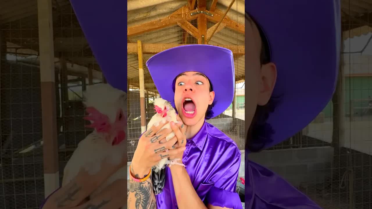 Você gosta de animais na fazenda?