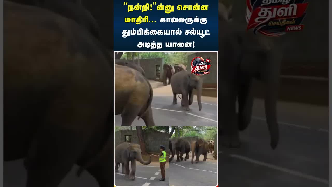 யானையின் நன்றி... காவலருக்கு என்ன நடந்தது?