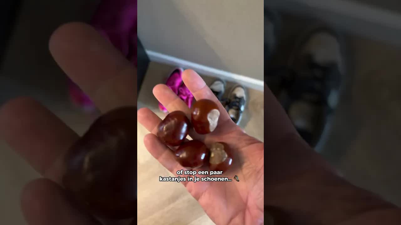 Handige tips met wilde kastanjes voor thuis