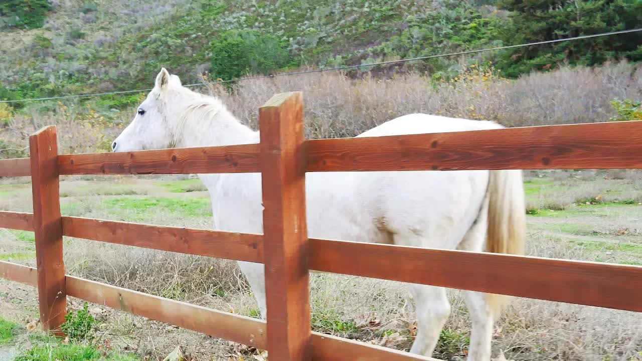 Do You Believe in Unicorns?