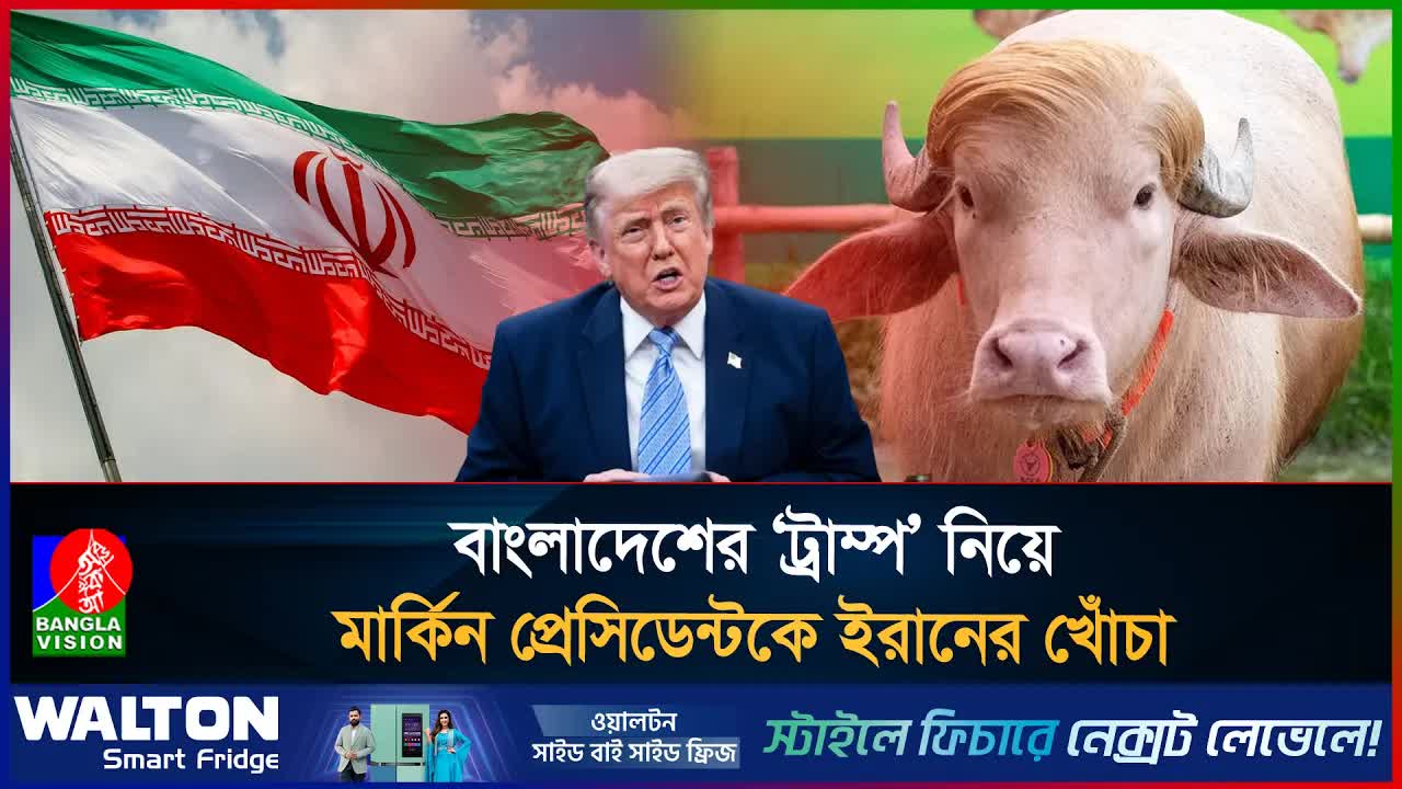 বিশ্বজুড়ে ভাইরাল বাংলাদেশের গোলাপি ‘ডোনাল্ড ট্রাম্প’ মহিষ