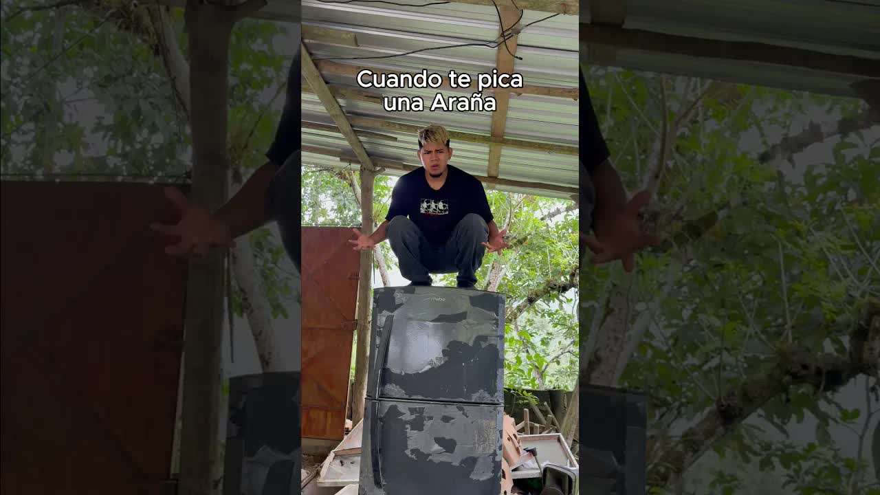 Cuando te pica una araña y crees que eres Spiderman