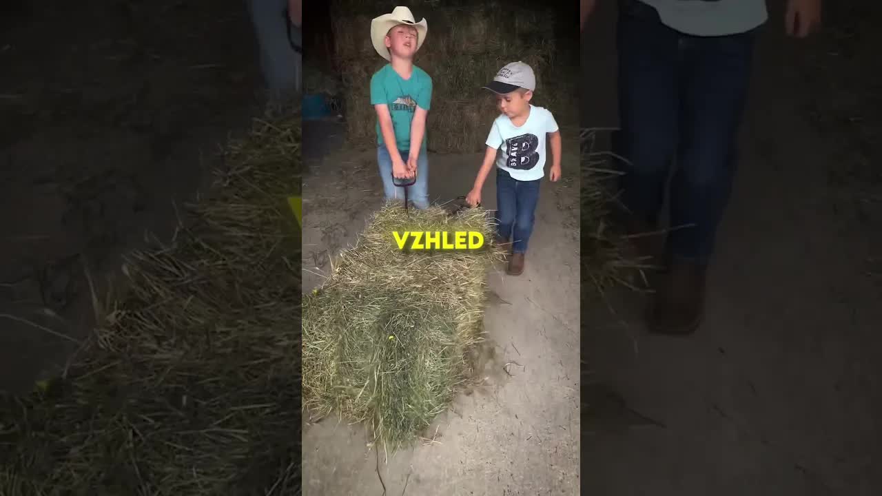 Bratři pomáhají dědovi na farmě