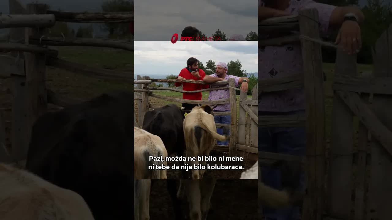 Veterinarska misija: Priča o Kolubarcu