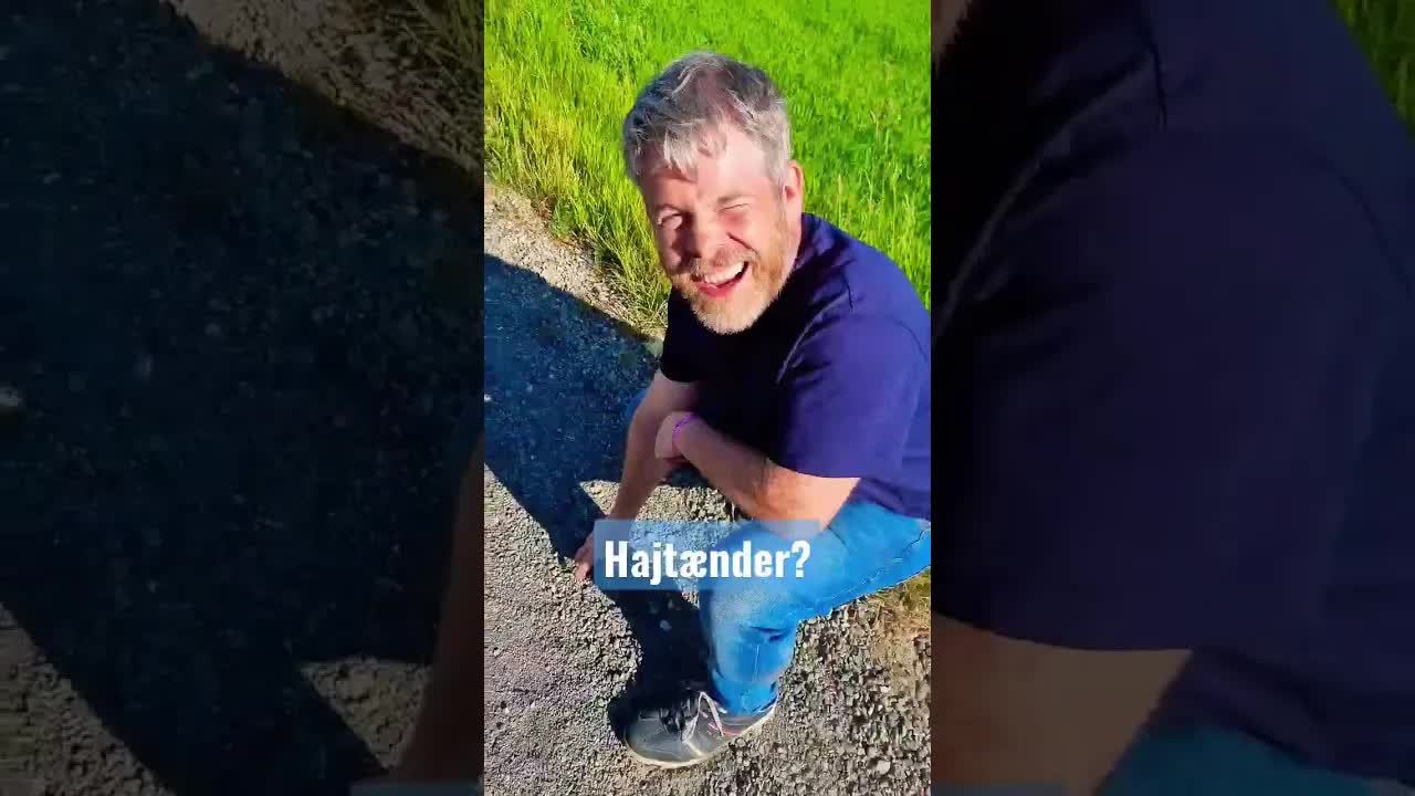 Hvad leder du efter på Røjle Klint?