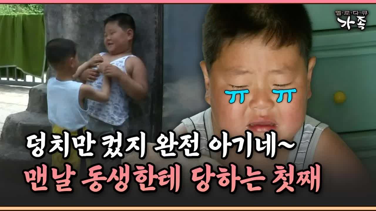 구름 아래 사는 형제의 이야기