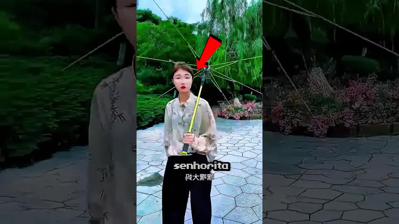 Ela mostrou o guarda-chuva sem tecido