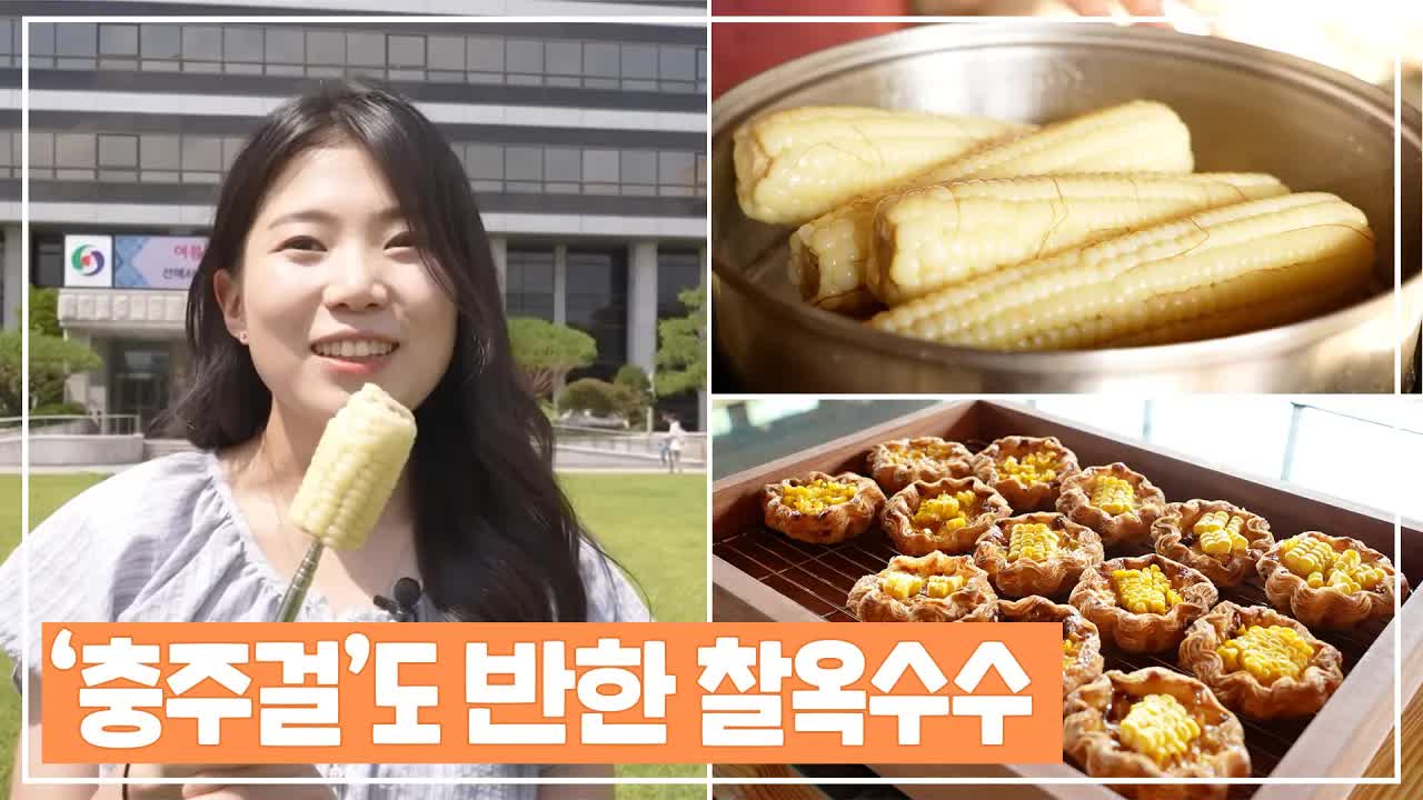 충주 옥수수의 여름 변신, MZ세대를 사로잡다