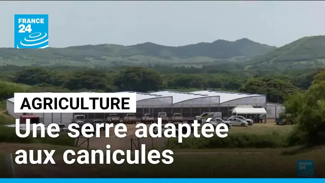 Une serre anti-canicule pour cultiver toute l'année