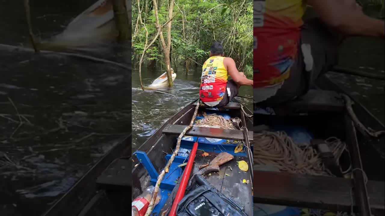 Pesca en el Amazonas: capturamos un jacaré gigante