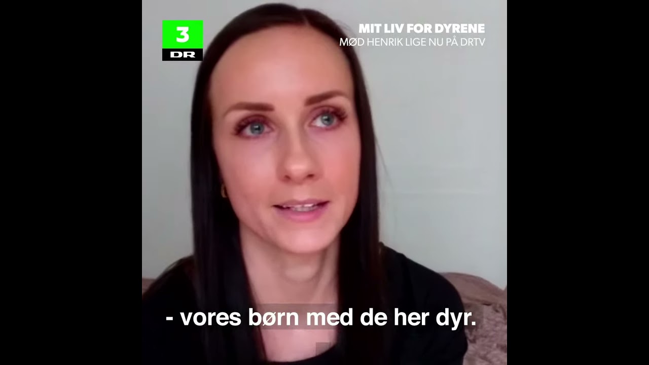 Henrik ofrer alt for dyrene i sit liv