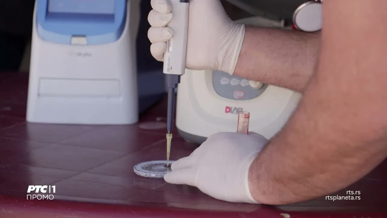 Nova epizoda Veterinarske misije sa Nenadom Herakovićem