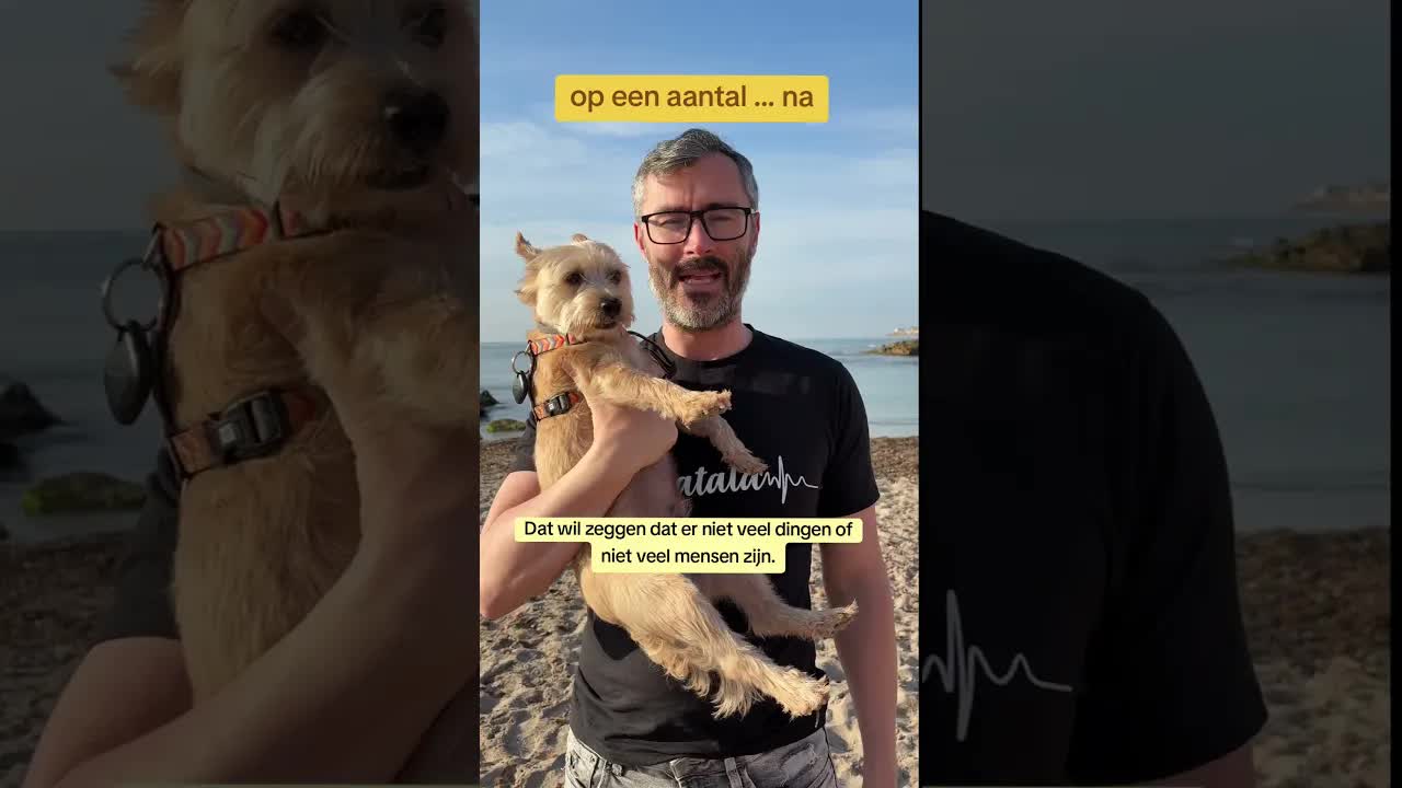 Een lege dag op het strand met Oscar en Ruby