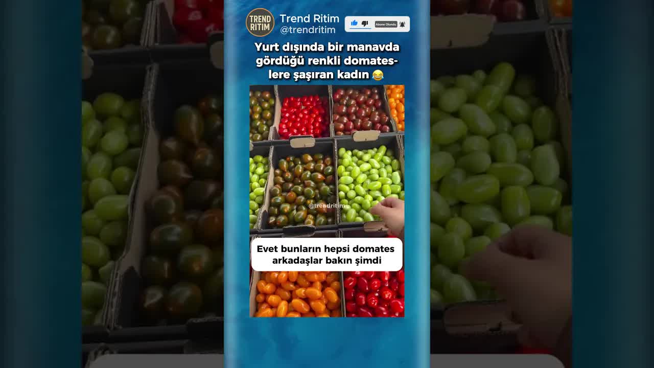 Renkli Domateslere Şaşan Kadın
