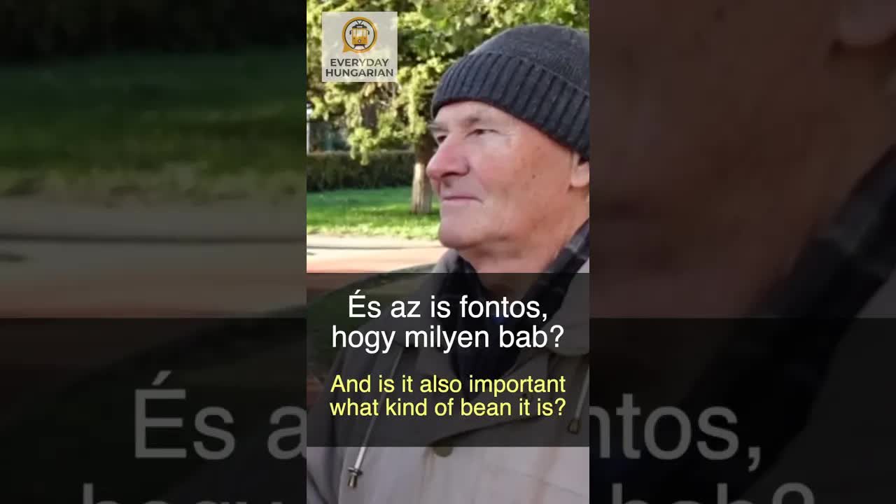 Kedvenc magyar ételem és a belevalók