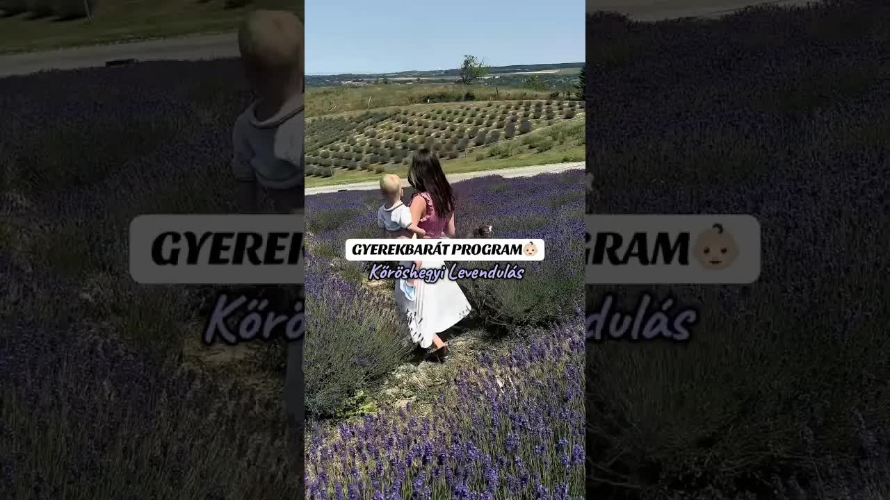 Kőröshegyi Levendulás: Gyerekbár Program Budapesttől