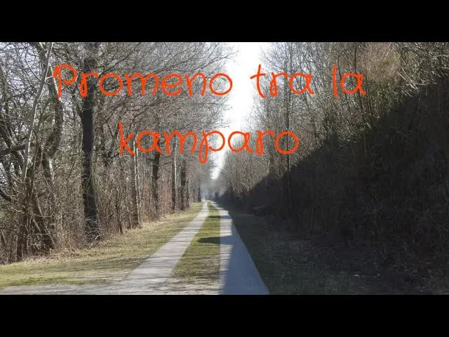 Printempa promenado tra la kamparo