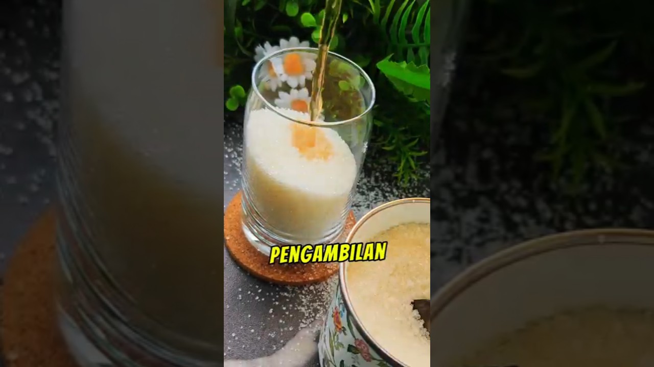 Pengganti Gula Alami dengan Stevia