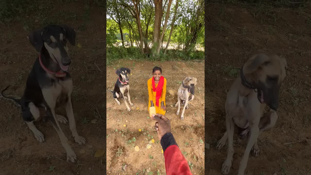 வாத்தியாரும் நாயும்: மணி அடிக்கும் போட்டி!