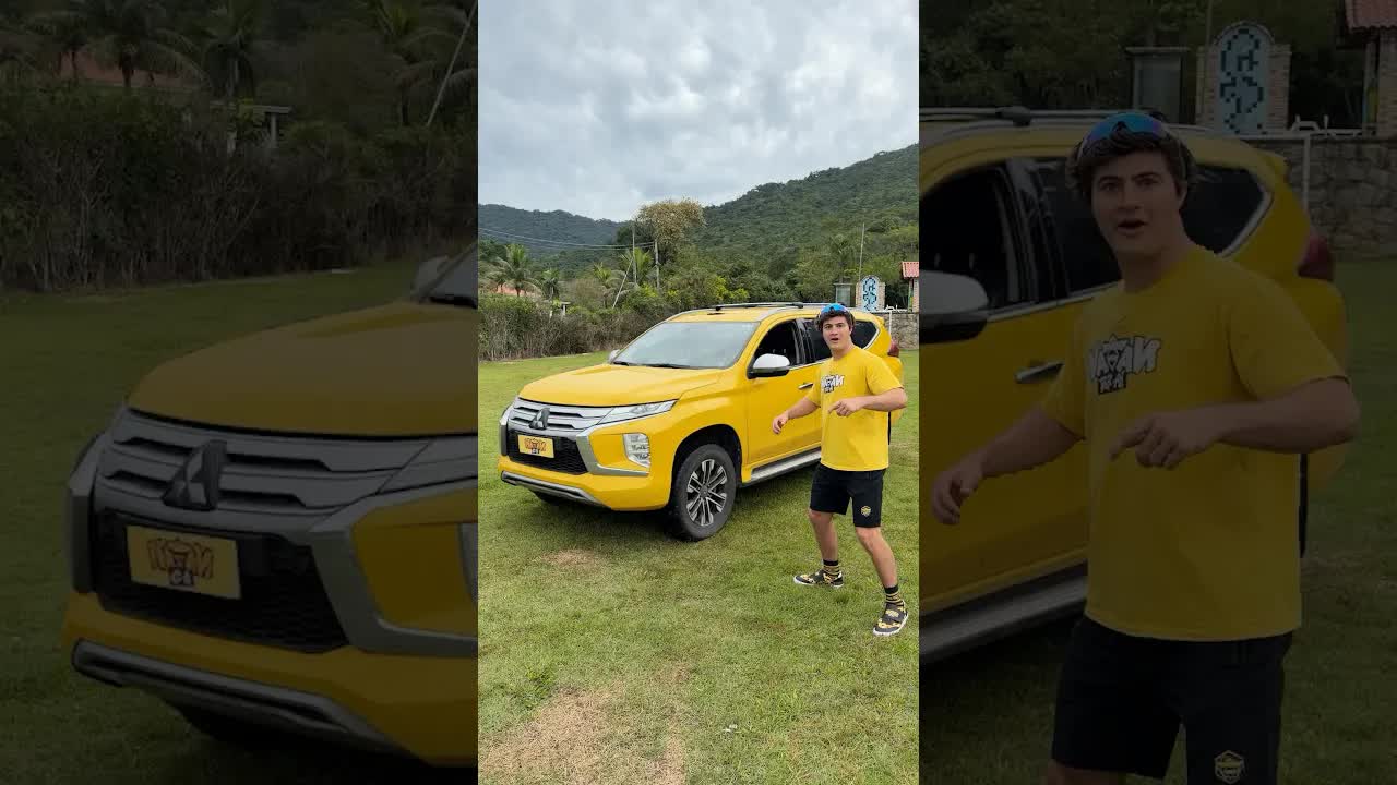 Pintei as galinhas de amarelo!