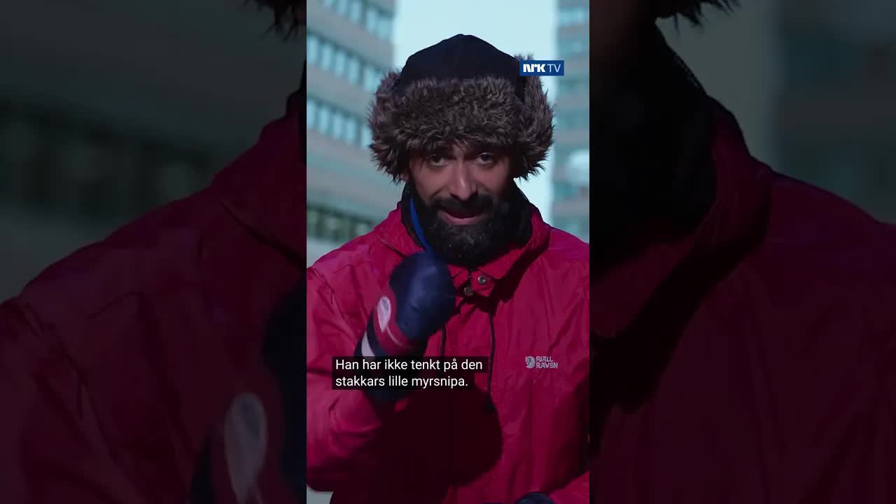 Humoretaten: Lars Monsen og skogen