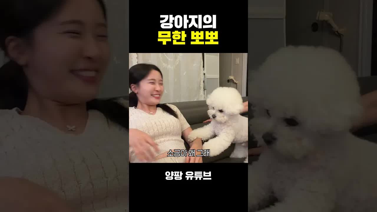 강아지의 끝없는 뽀뽀 요청