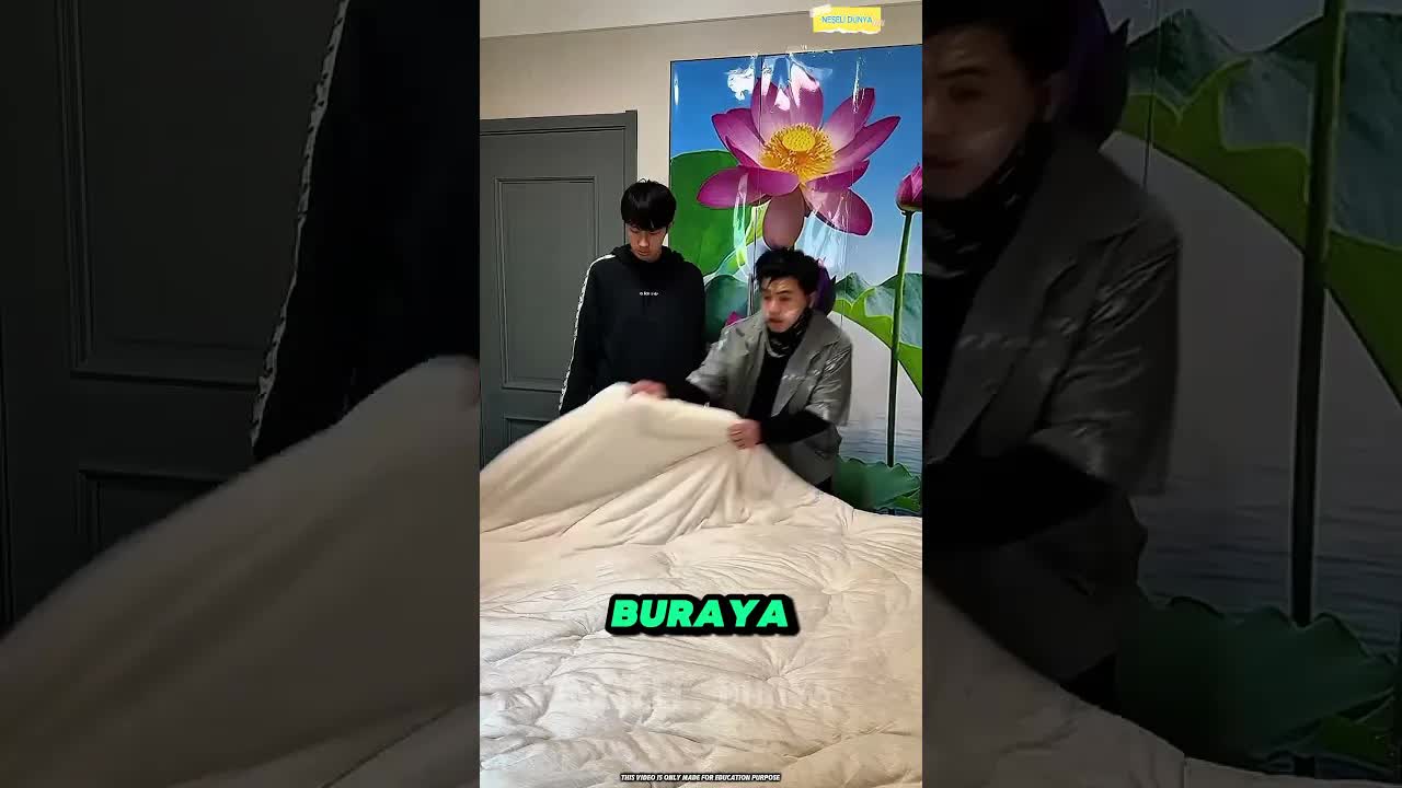 Ustanın Komik Ev Tasarımları