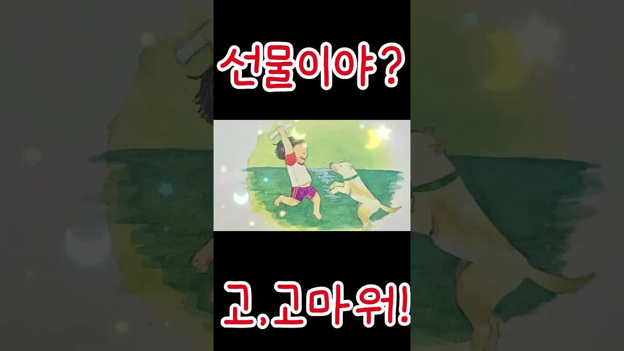 내 친구 백구와 함께한 여름