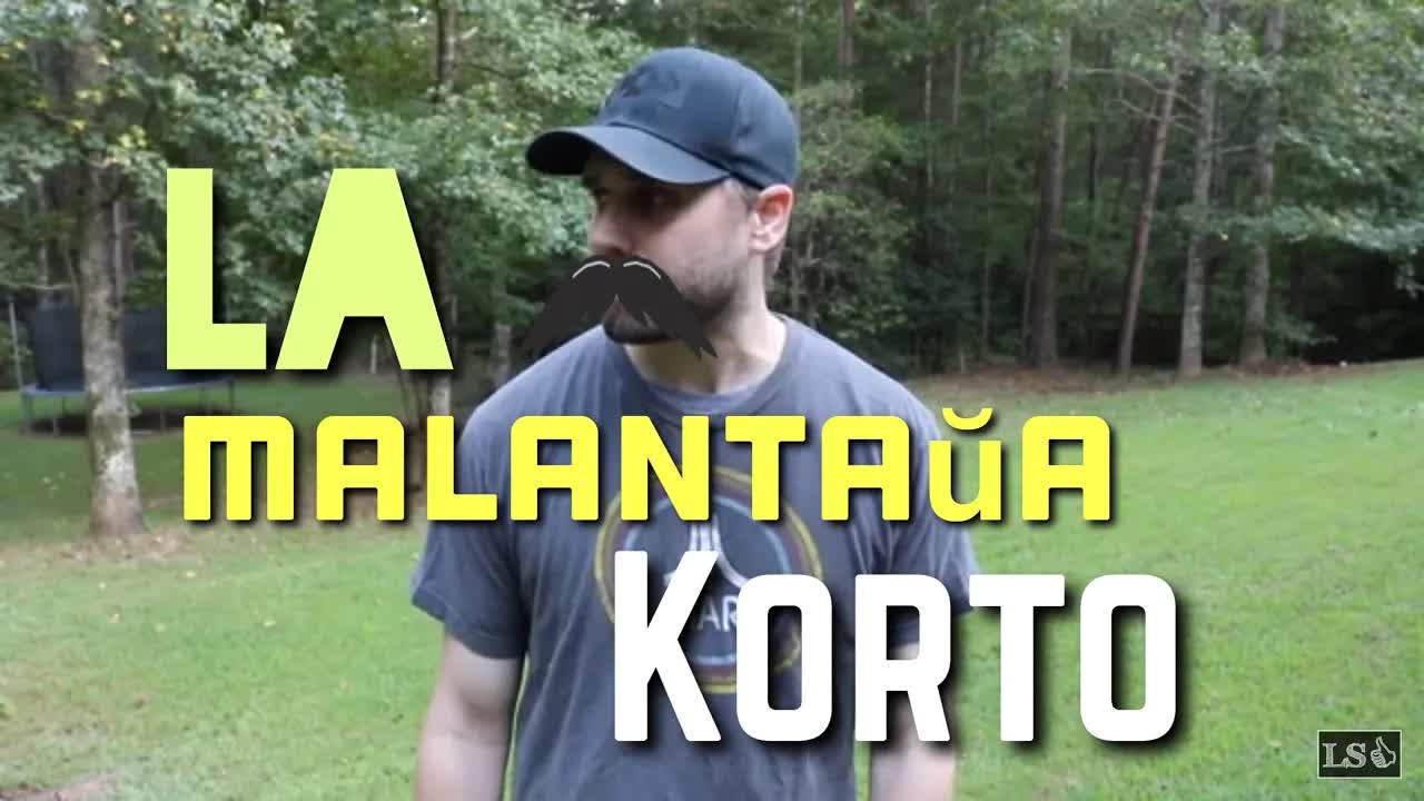 Mia malantaŭa korto kaj arboj