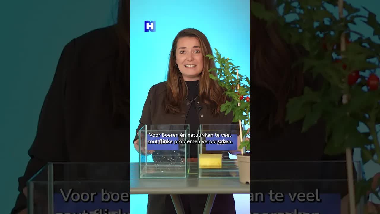 Waarom dreigt er een watertekort in Noord-Holland?