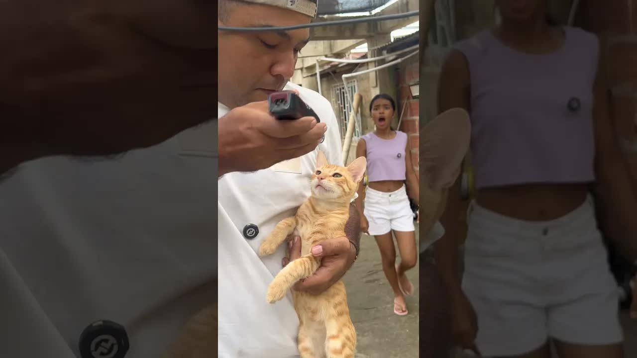 ¿Qué le harás a mi gato, papi?