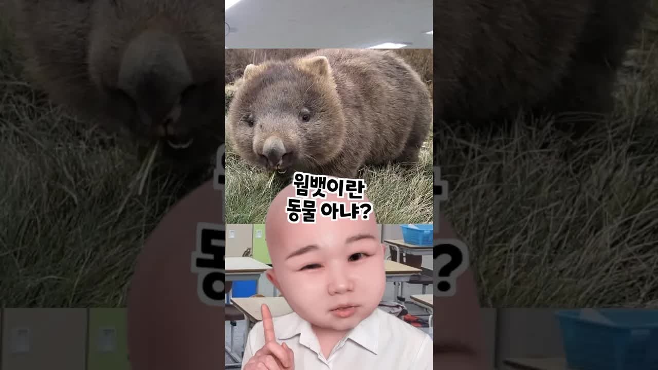전교 1등의 기막힌 똥 질문