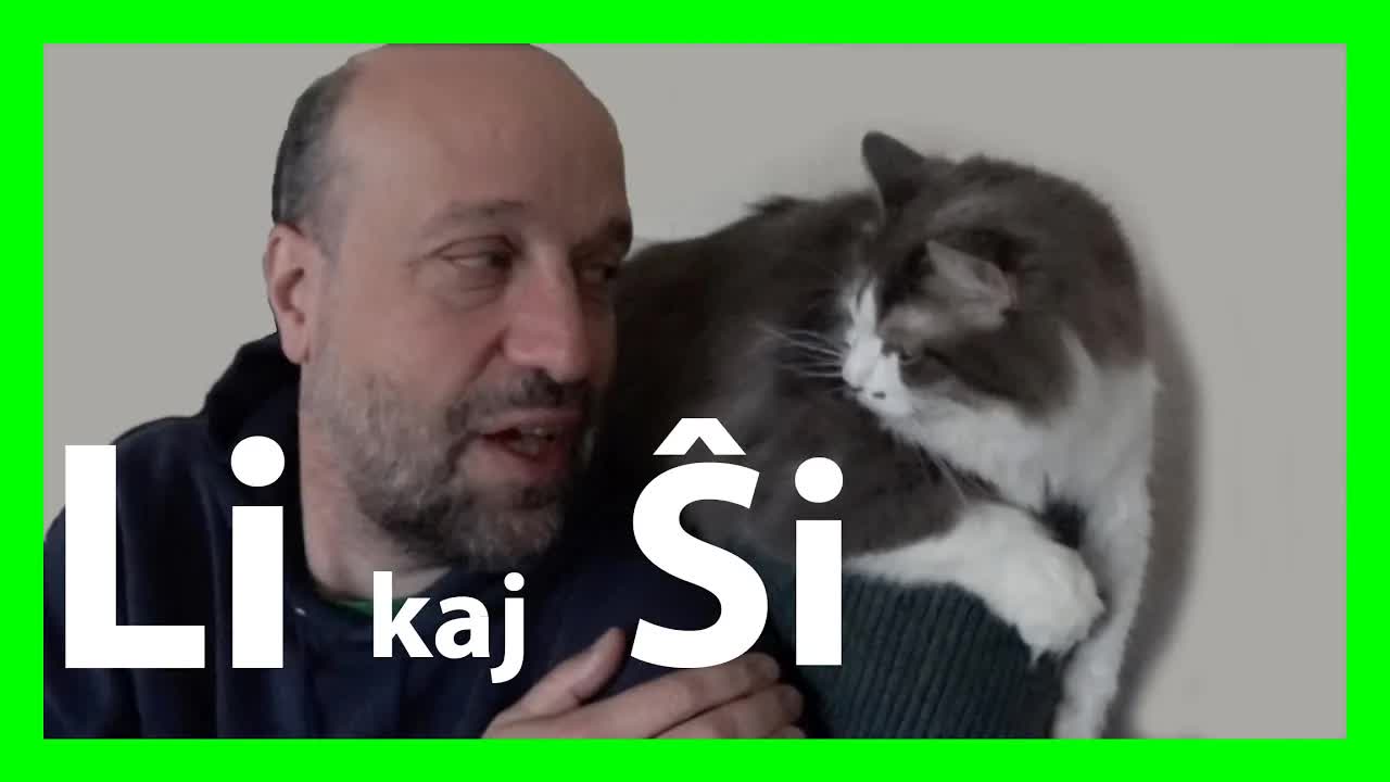 Mi amas miajn katojn: Tomaso prezentas siajn tri katojn