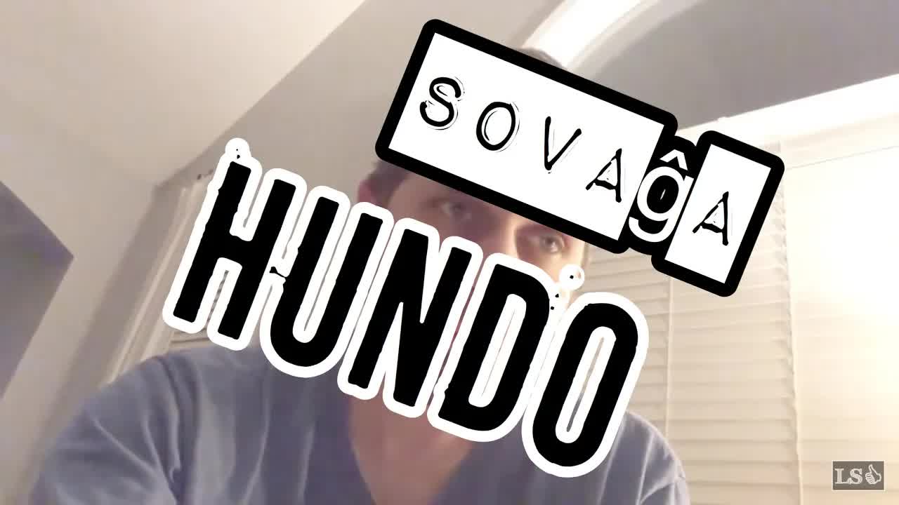 Ni ne plu havas hundojn: Nia rakonto