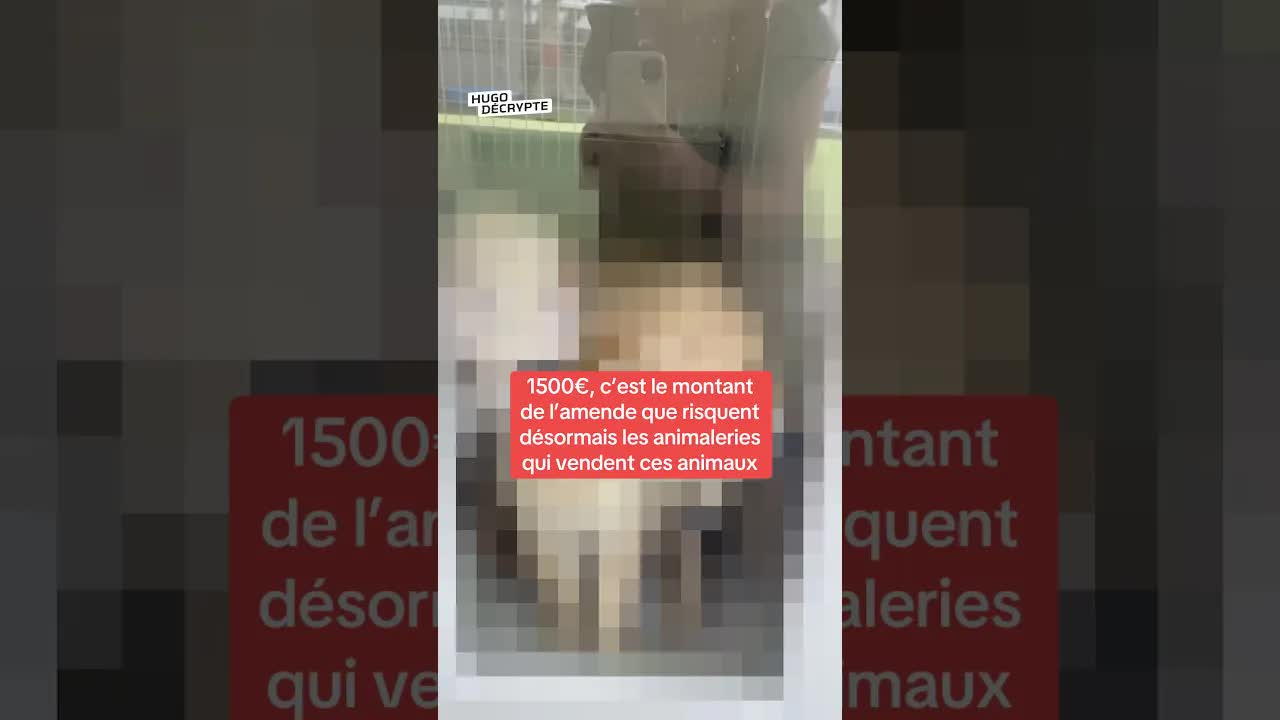 Amendes pour les animaleries et faits d'actualité